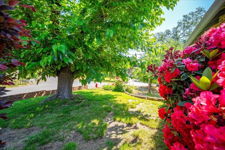 Property Photo: 155 Judy Drive CA 95667