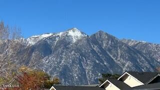 Property Photo:  1476 Mary Jo Drive  NV 89460 