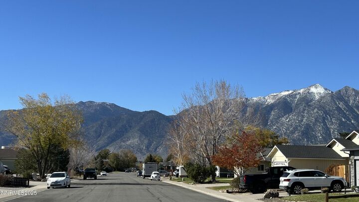 Property Photo: 1476 Mary Jo Drive NV 89460