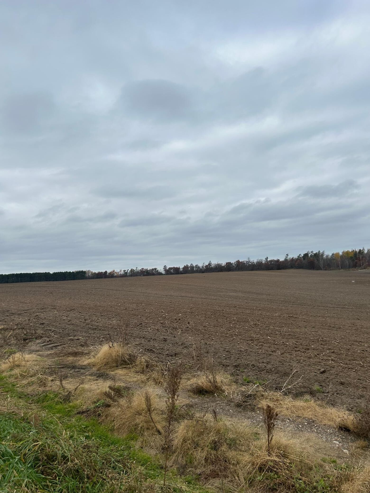 Property Photo:  142 Ac Basswood Lake Rd  MN 56575 