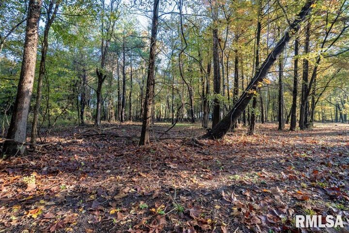 0000 Baptist Camp Road  Carterville IL 62918 photo