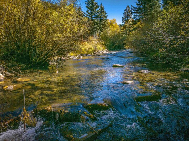 Property Photo:  4917 State Hwy 518  NM 87579 