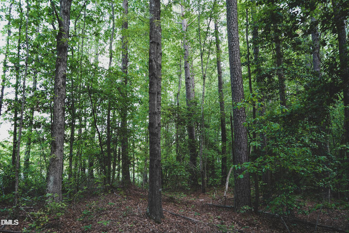 Property Photo:  Lot 2 Arthur Wilder Road  NC 27882 