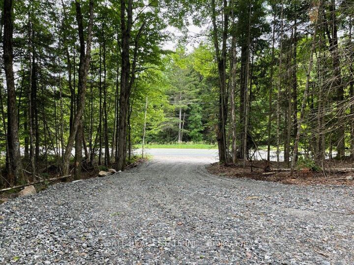1350 Haliburton Lake Rd N/A — photo 1