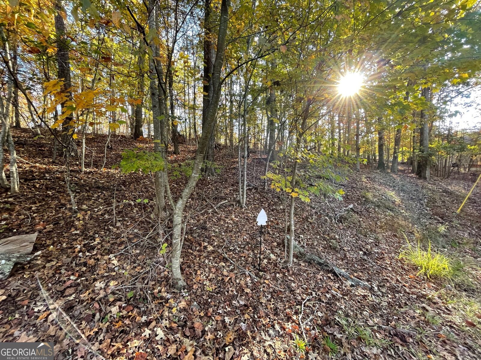 Property Photo: Lot 87 N Foxglove Road SC 29693