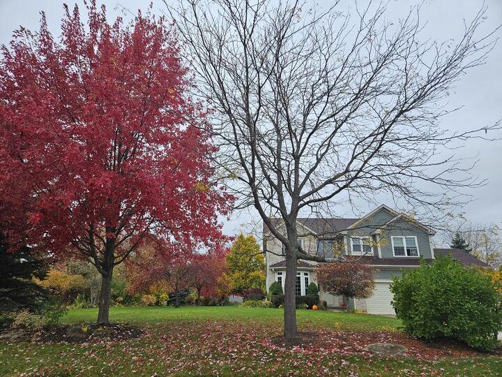 Property Photo: 8789 Bentley Lane IL 60081