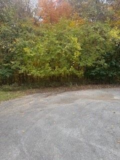 Property Photo:  Tbd Porlock Lane  AR 72715 