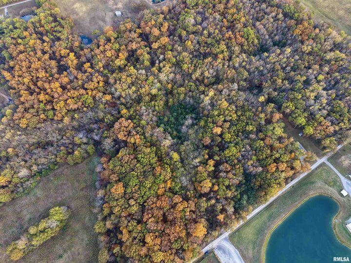 Property Photo:  18492 Moonbeam Lane  IL 62864 