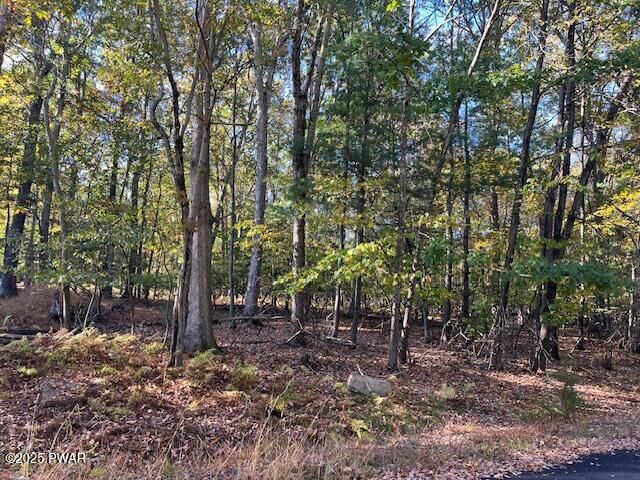 Property Photo: Lot 332 Racoon Road PA 18328