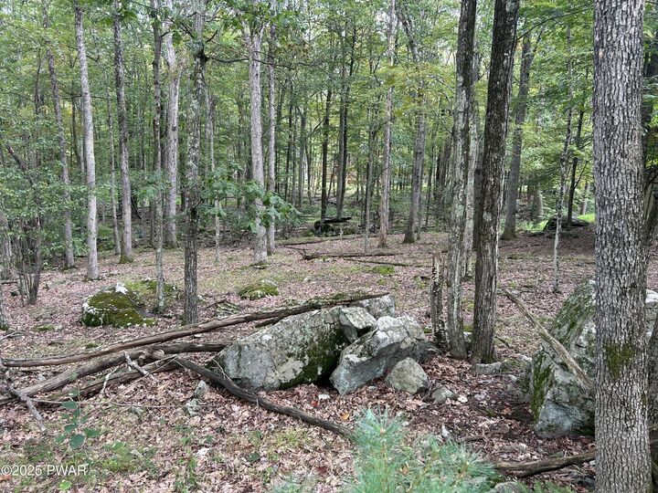 Property Photo: Lot 42 Willow Drive PA 18428