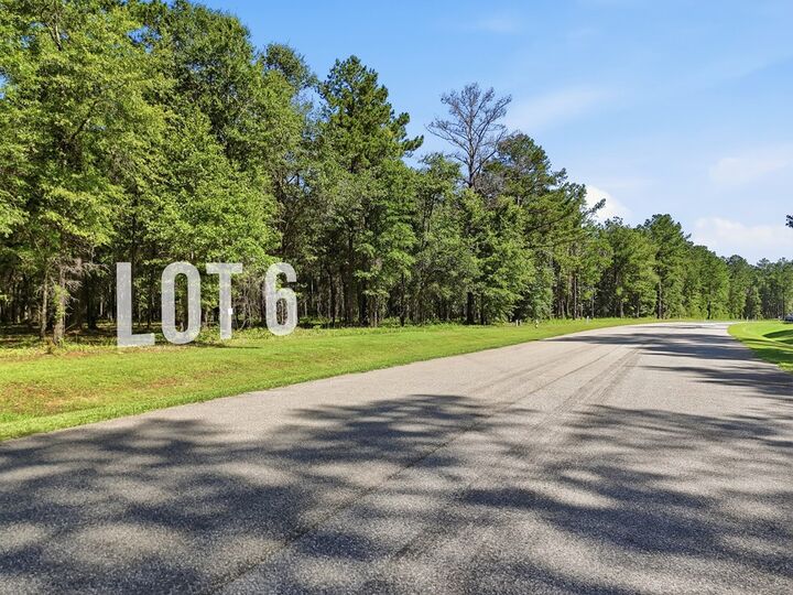 Property Photo:  Lot 6 Hidden Lakes Drive  GA 31721 