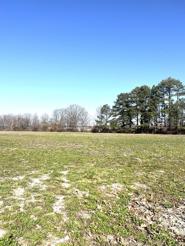 Property Photo:  11.46 Highway 351  AR 72405 