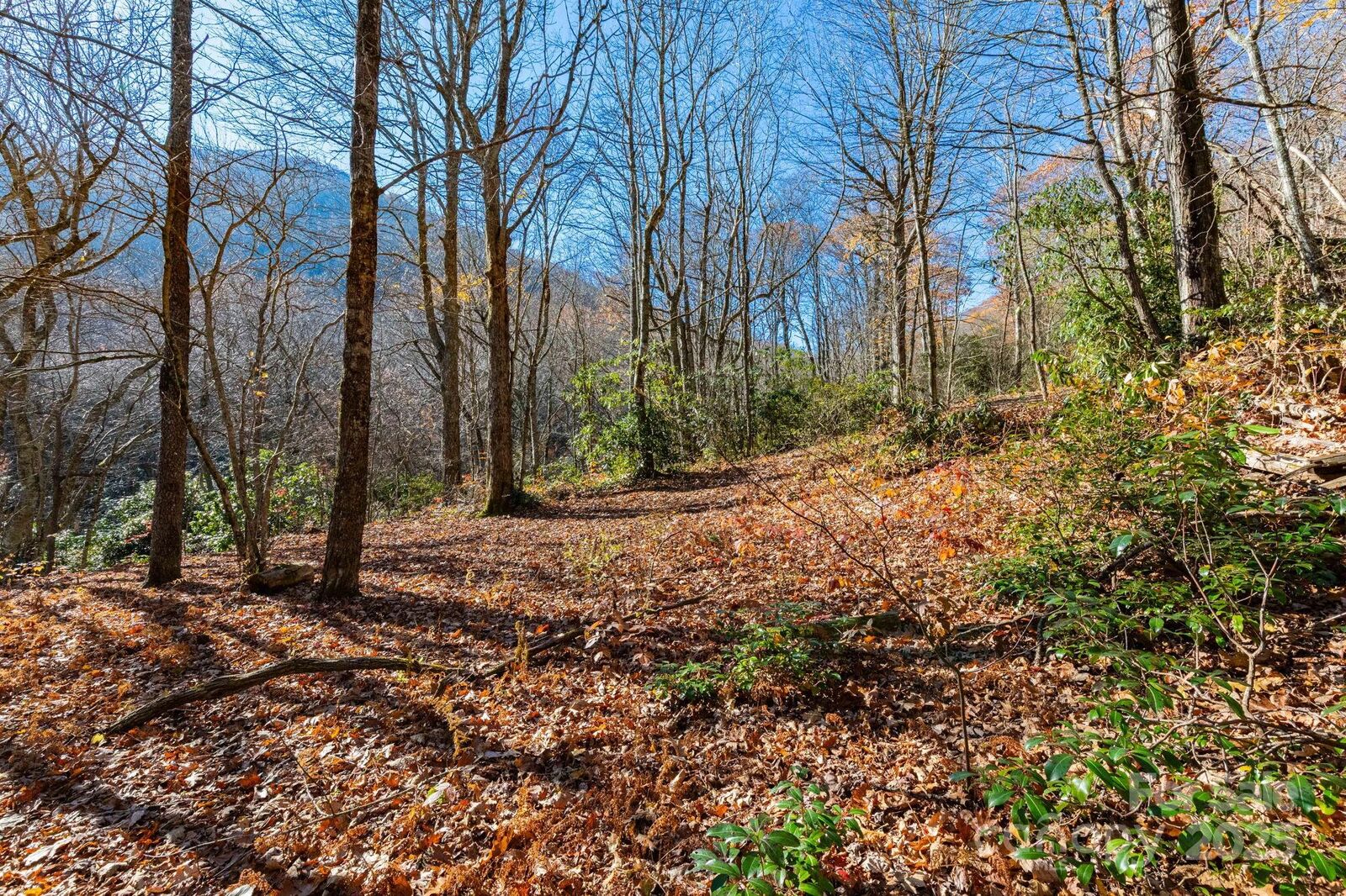 Property Photo:  Lot Huckleberry Drive 24  NC 28751 