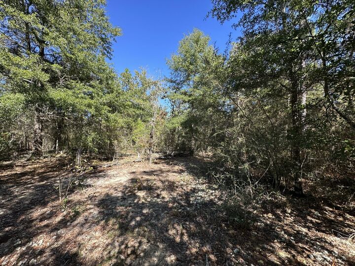 Property Photo: Tbd Bear Head Road FL 32539
