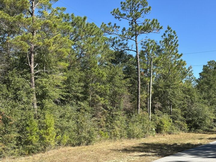 Property Photo: Parcel A Bear Head Road FL 32539