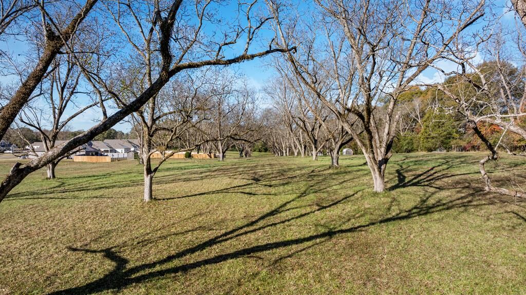 Property Photo:  148 Chinaberry Street  GA 31822 