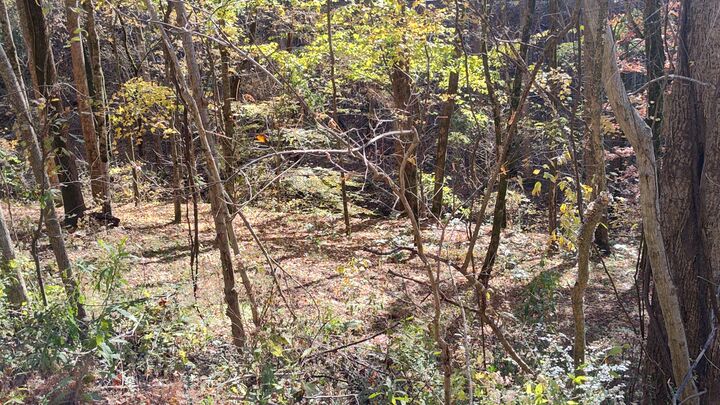 Property Photo:  16 Lake View  TN 37166 