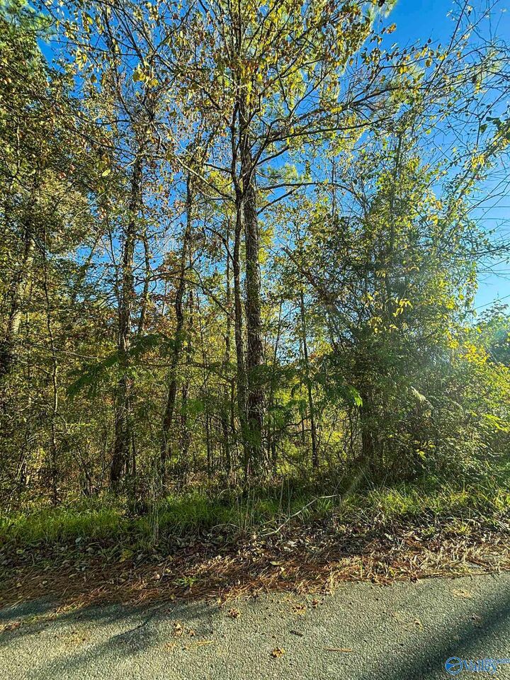 Property Photo:  11 SE Wilson Street  AL 35954 