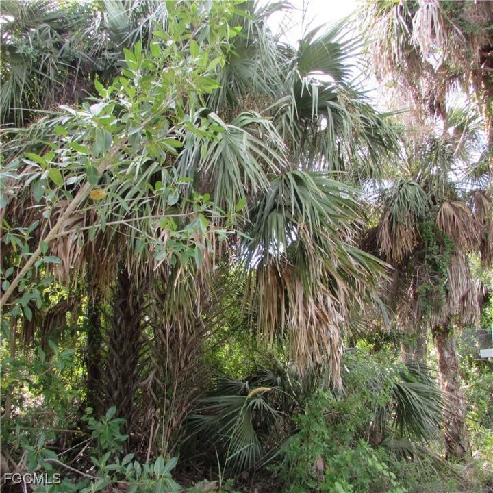 Property Photo:  3401 Castile Road  FL 33956 