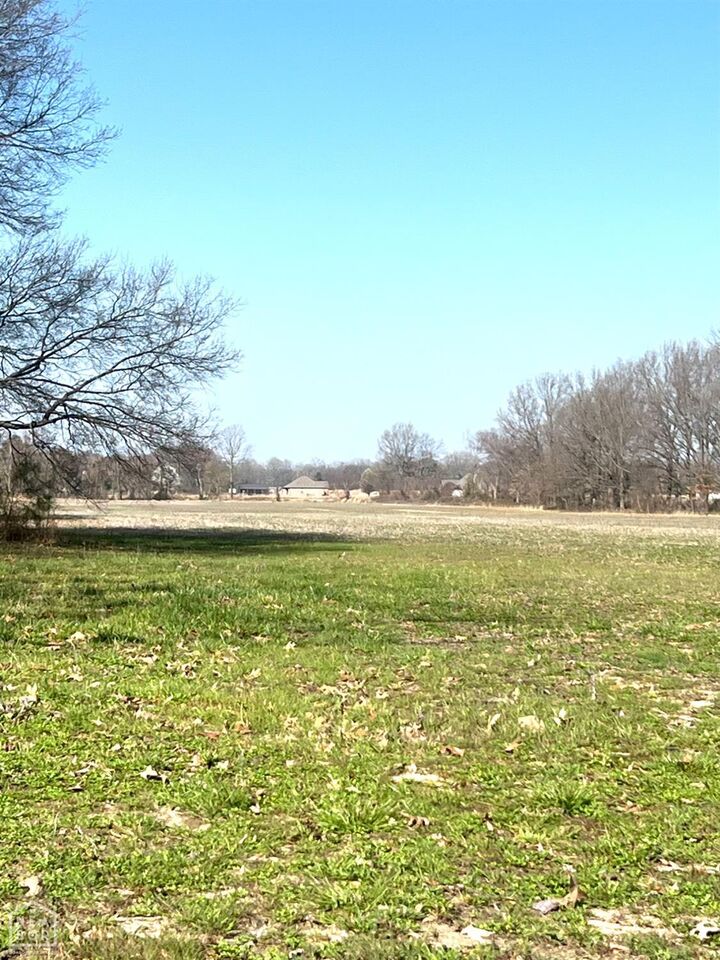 Property Photo:  11 Highway 351  AR 72405 