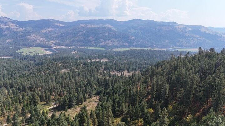 Property Photo:  137 Matsen Creek Rd  WA 99141 