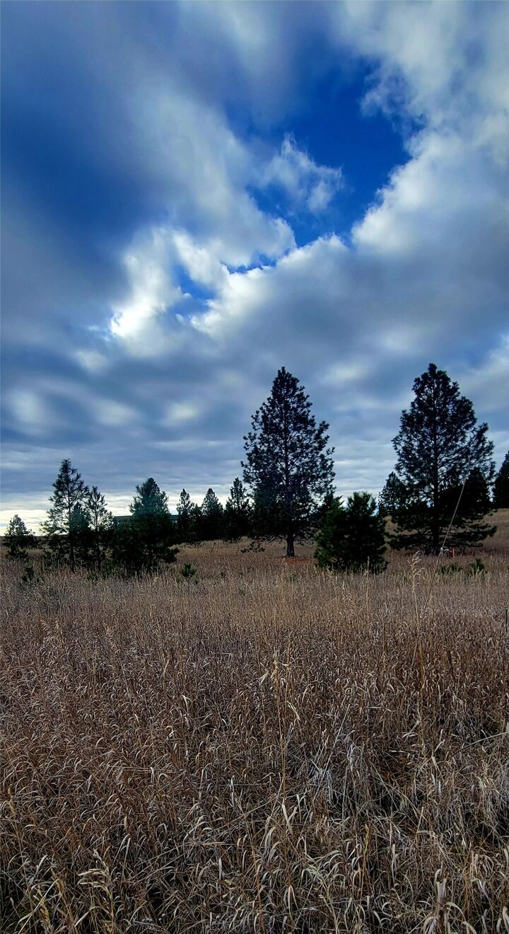 Property Photo: Lot 38 Southlake Crest MT 59860