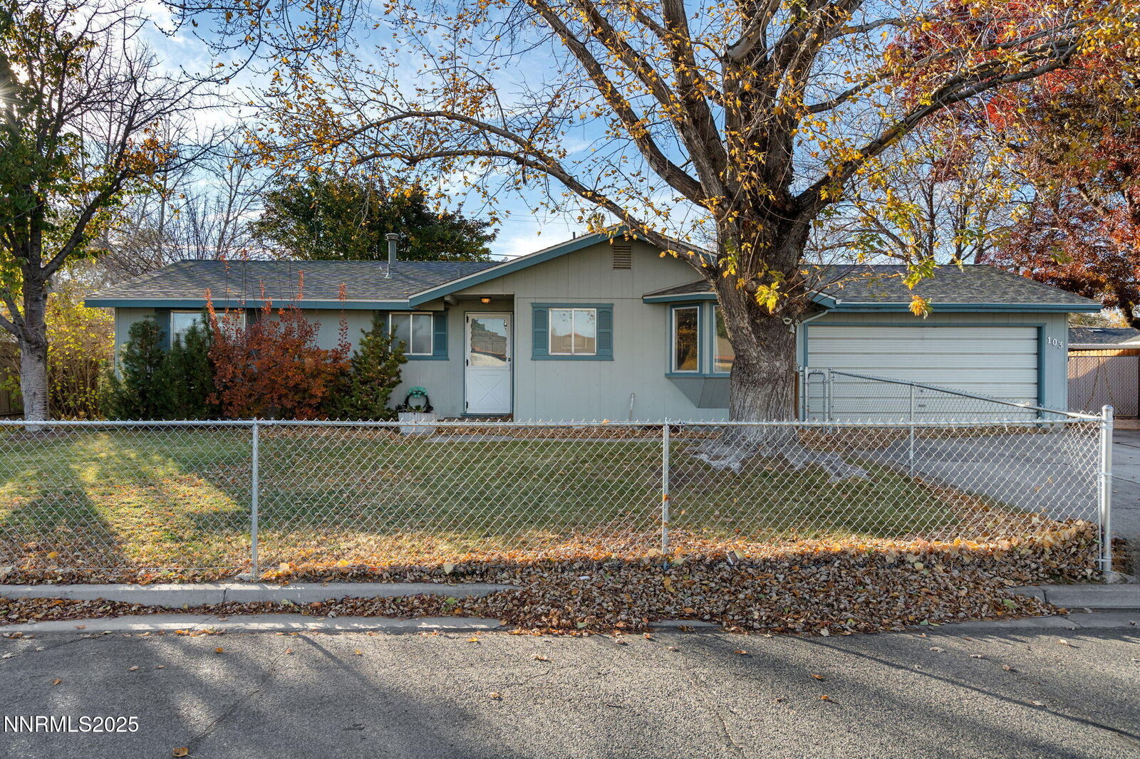 Property Photo:  103 S Oregon Street  NV 89447 