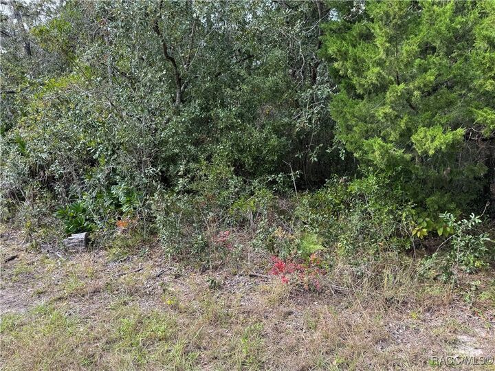 Property Photo:  2830 S Bolton Avenue  FL 34448 