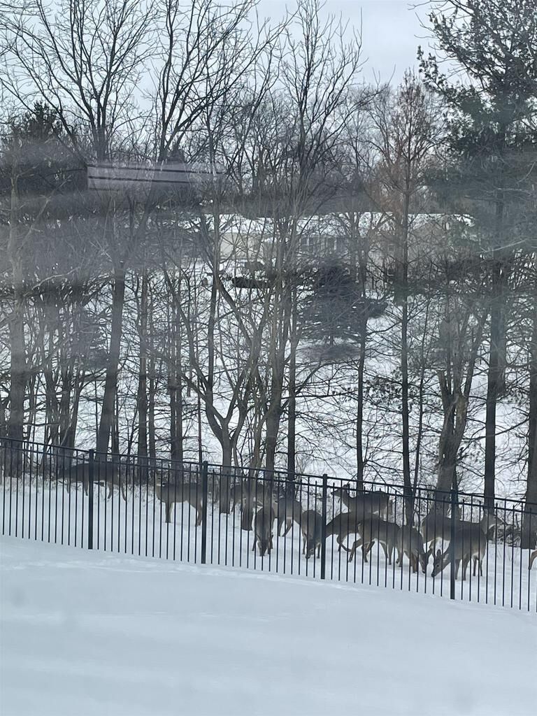 Property Photo:  4228 Park View Drive  WI 53546 