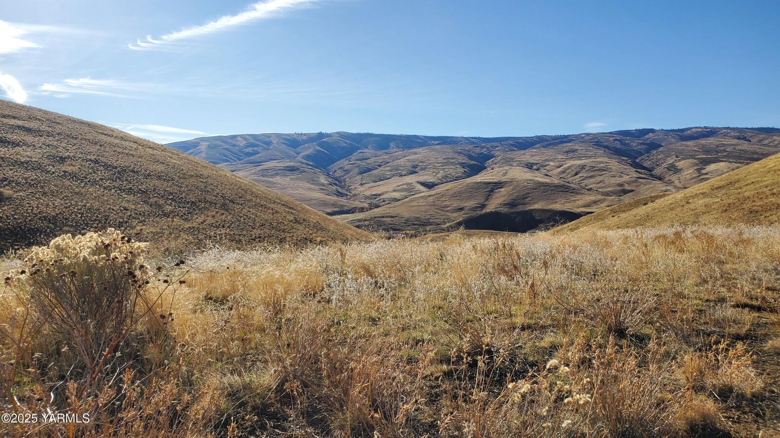 Property Photo:  Nka Elk Ridge Ln /Wenas Rd Ave  WA 98942 