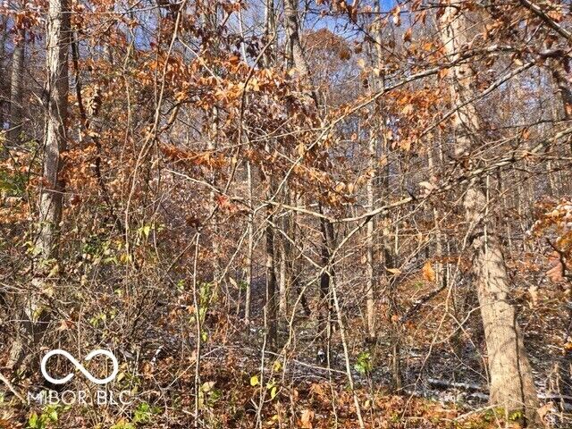 Property Photo: 0 N Shore Drive IN 47468