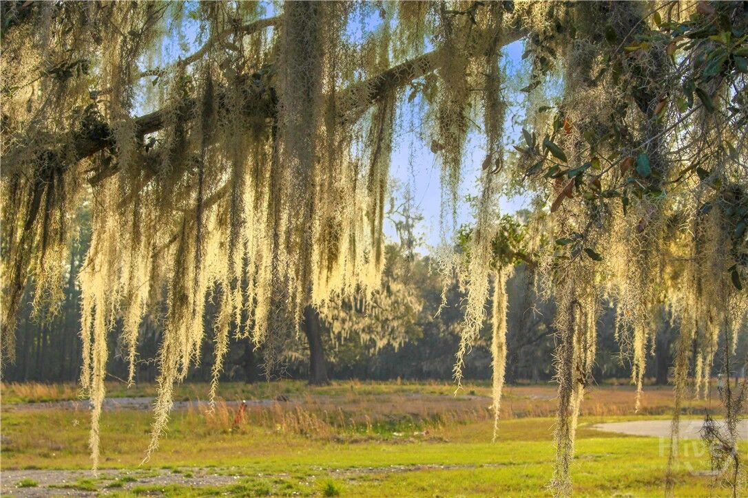 Property Photo:  1 William'S (36 Lots 95 Acres) Retreat  GA 31419 