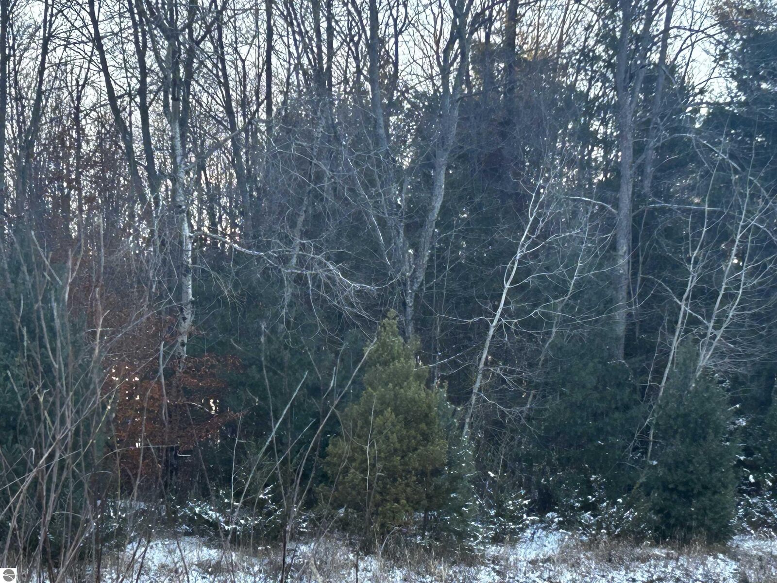 Property Photo:  1 E Johnson Road  MI 49651 
