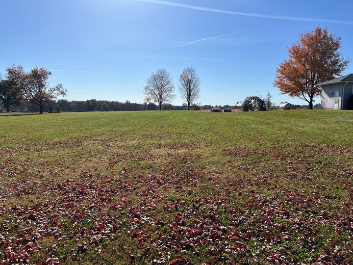 Property Photo:  209 Sunset Drive  MO 64643 