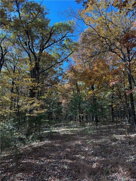 Property Photo:  14710 Summer Shade Road  AR 72774 