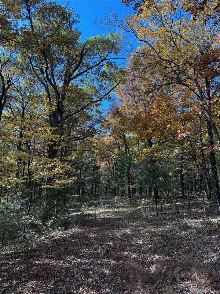 Property Photo:  14710 Summer Shade Road  AR 72774 