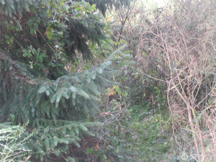 Property Photo: 8 Driftwood Drive WA 98569