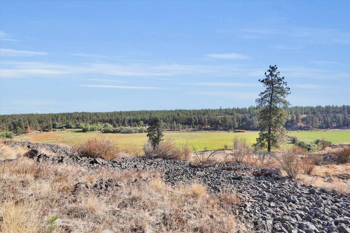 Property Photo: Tbd S Scribner Rd Parcel #24272.9065 WA 99004