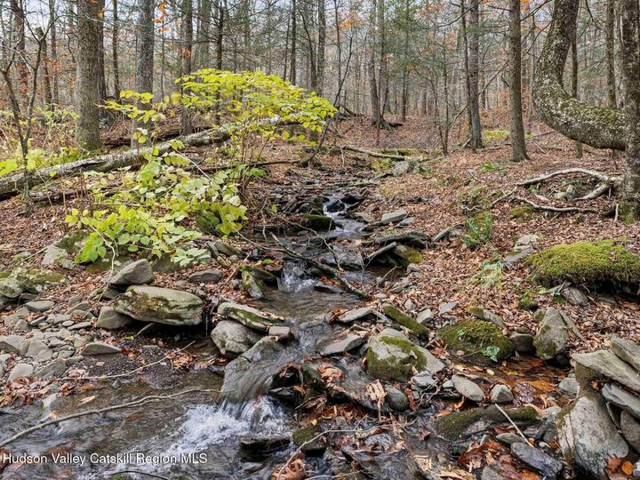 Property Photo: 259 Silver Hollow NY 12495