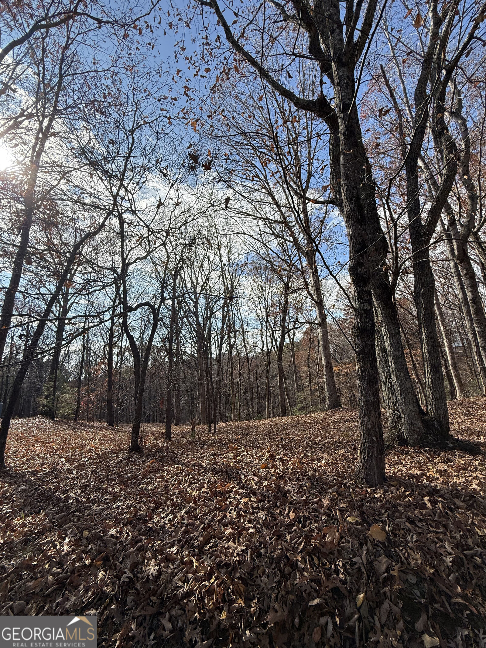 Property Photo:  0 Orchard Road  GA 30143 