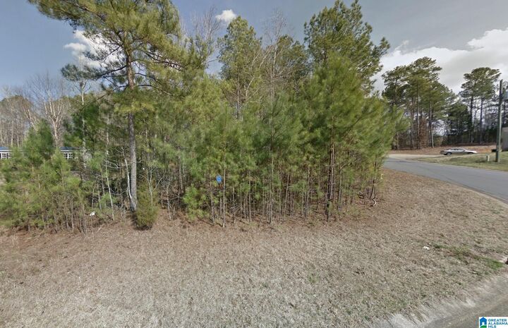 Property Photo:  151 Plantation Drive 1  AL 35128 