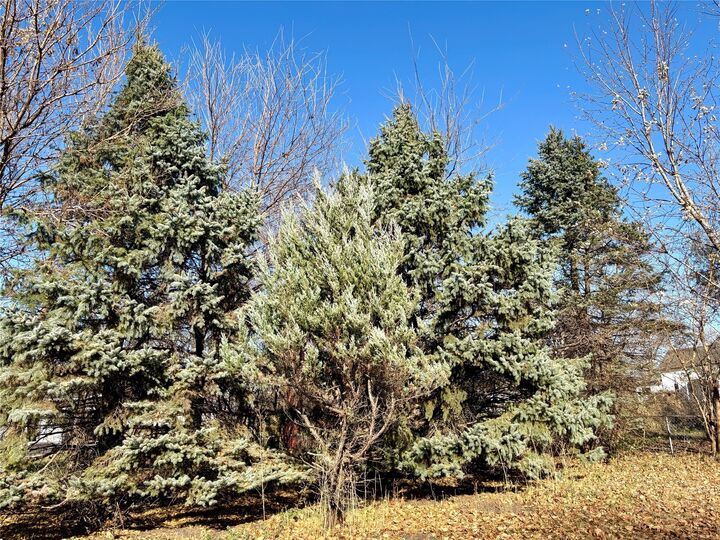 Property Photo: 303 Story Street IA 50243