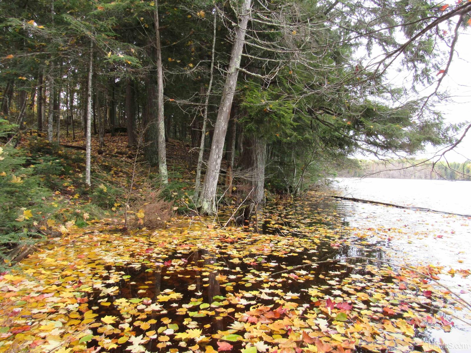 Property Photo: Lot 9 Little Africa Lake Road MI 49969