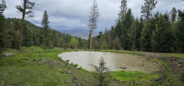 Property Photo: 4 Tract, Bull Elk MT 59832