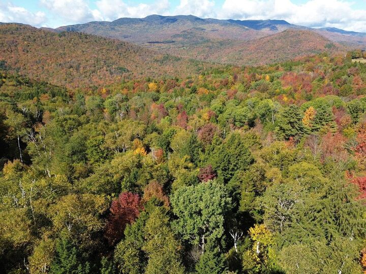 350 Anne Burns Road  Warren VT 05674 photo