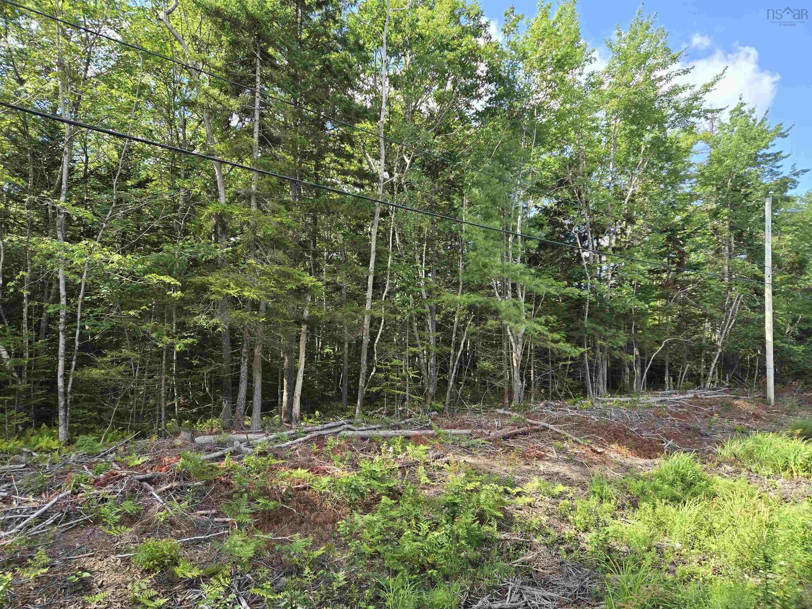 Property Photo:  Lot 1 Conquerall Road  NS B4V 0J6 
