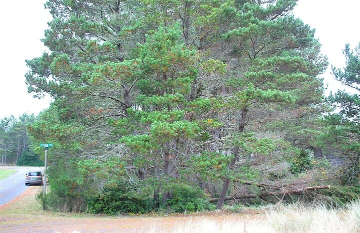 Property Photo:  0  Veterans Avenue  WA 98595 