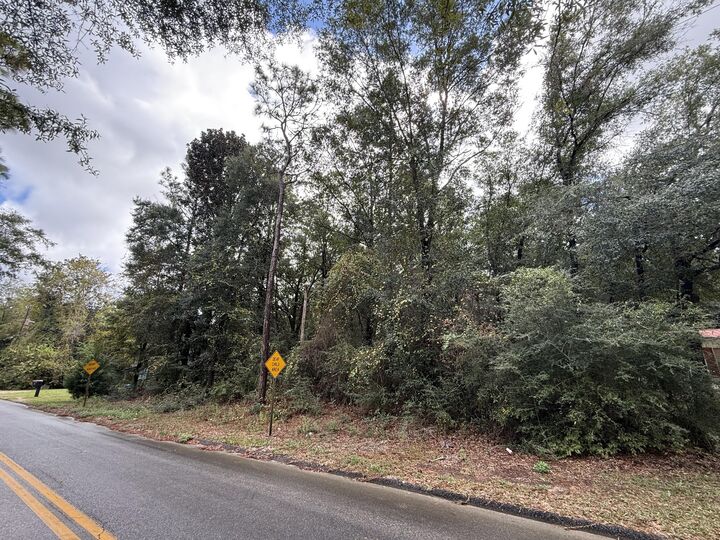 Property Photo:  Lot 4 German Club Road  FL 32433 