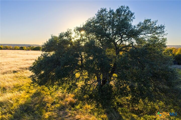 Property Photo:  Tbd County Road 511  TX 76531 