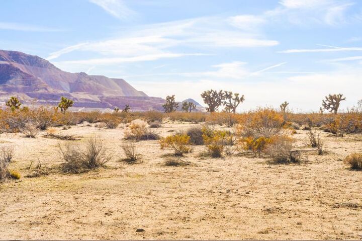 Property Photo:  Sunset Ave And Vic 40th St W  CA 93501 